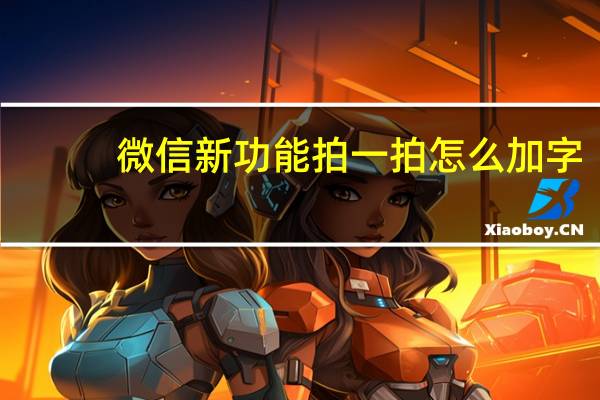 微信新功能拍一拍怎么加字（微信拍一拍怎么加字）