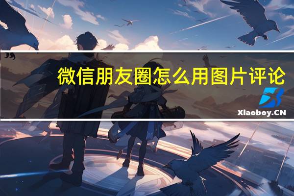 微信朋友圈怎么用图片评论（微信朋友圈怎么用）