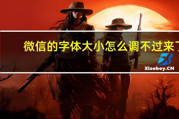 微信的字体大小怎么调不过来了（微信的字体大小怎么调）