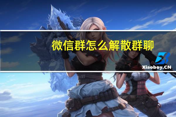 微信群怎么解散群聊(微信群怎么解散)