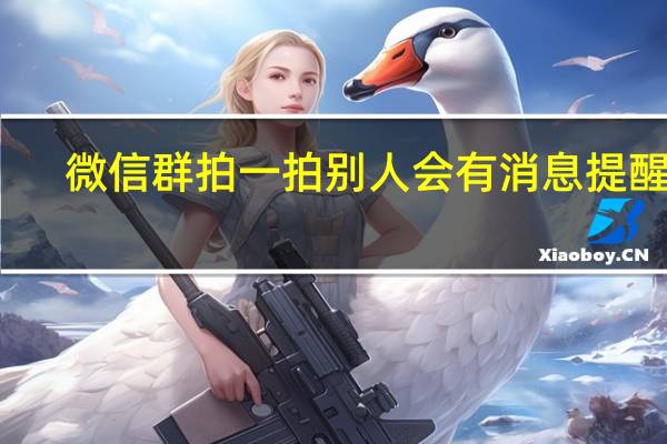 微信群拍一拍别人会有消息提醒吗（微信群拍一拍）