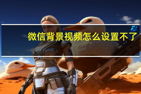 微信背景视频怎么设置不了（微信背景视频怎么设置）