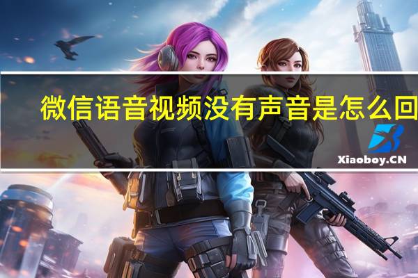 微信语音视频没有声音是怎么回事（微信语音视频没有声音怎么回事）