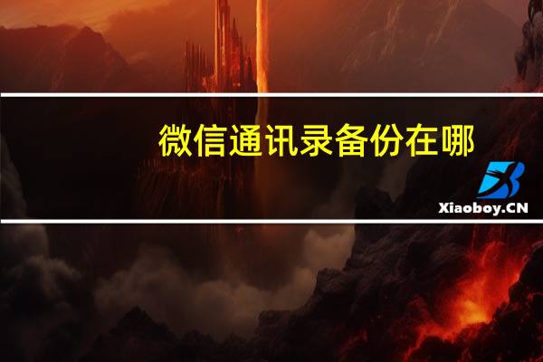 微信通讯录备份在哪（微信通讯录备份）