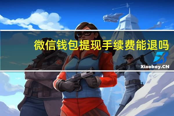 微信钱包提现手续费能退吗（微信钱包提现手续费）