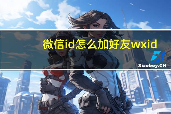 微信id怎么加好友wxid（微信id怎么加好友）