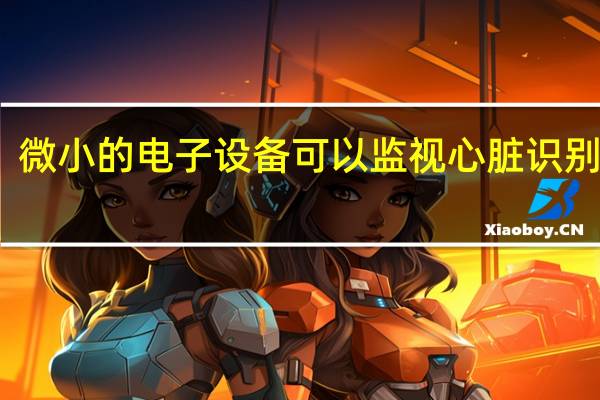 微小的电子设备可以监视心脏识别语音