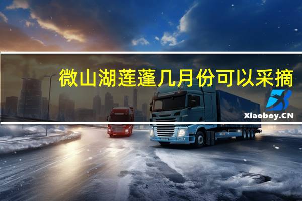 微山湖莲蓬几月份可以采摘