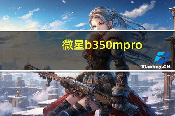 微星b350m pro-vd plus配置（微星b350m pro vd plus）