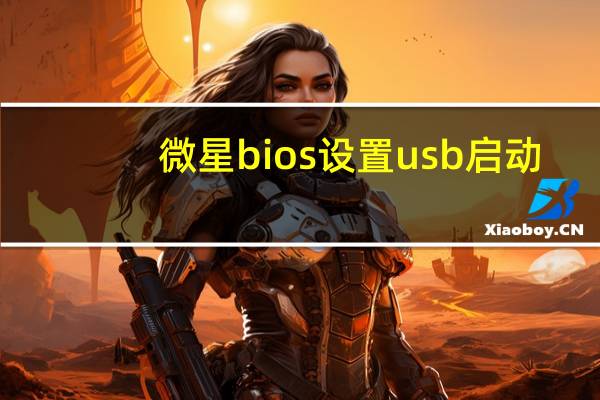 微星bios设置usb启动（bios设置usb启动）
