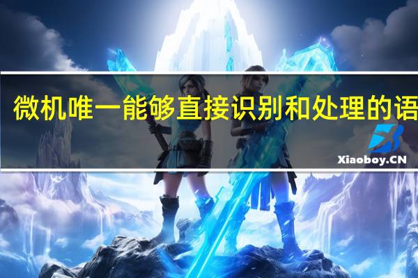 微机唯一能够直接识别和处理的语言是( )  (1分)