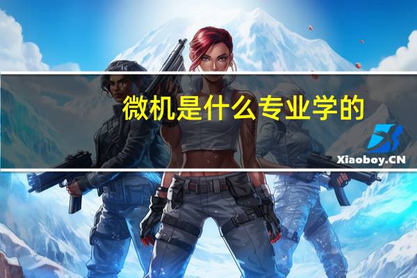 微机是什么专业学的