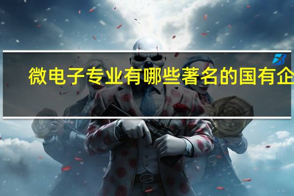 微电子专业有哪些著名的国有企业