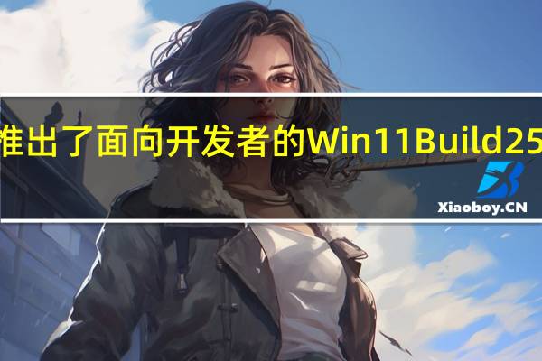 微软日前推出了面向开发者的Win11Build25179测试版系统