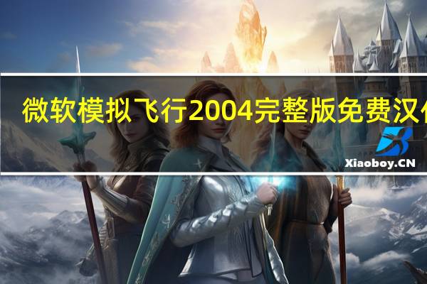 微软模拟飞行2004完整版 免费汉化版（微软模拟飞行2004完整版 免费汉化版功能简介）