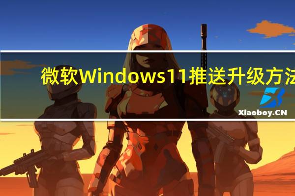 微软Windows11推送升级方法