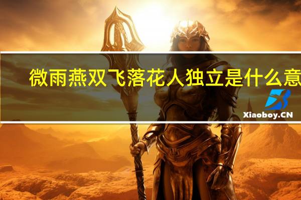 微雨燕双飞落花人独立是什么意思