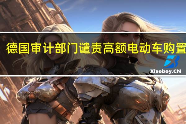 德国审计部门谴责高额电动车购置补贴
