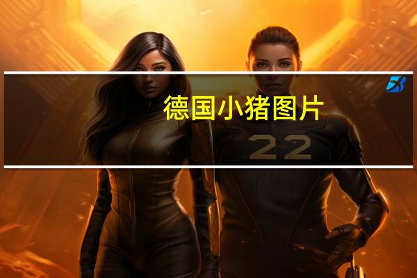 德国小猪图片（德国 小猪）