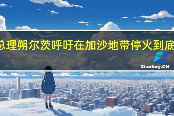 德國總理朔爾茨呼吁在加沙地帶停火 到底什么情況嘞