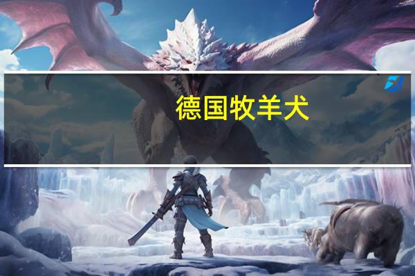 德国牧羊犬(关于德国牧羊犬的介绍)