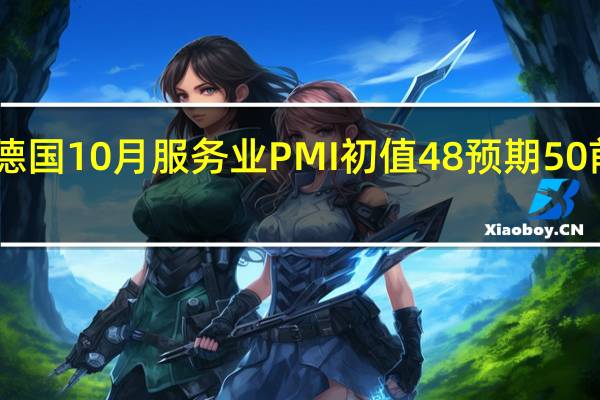 德國(guó)10月服務(wù)業(yè)PMI初值 48預(yù)期 50前值 50.3