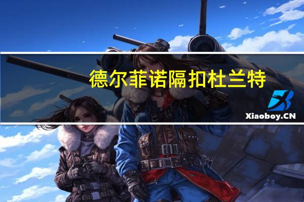 德尔菲诺隔扣杜兰特（德尔菲技术）