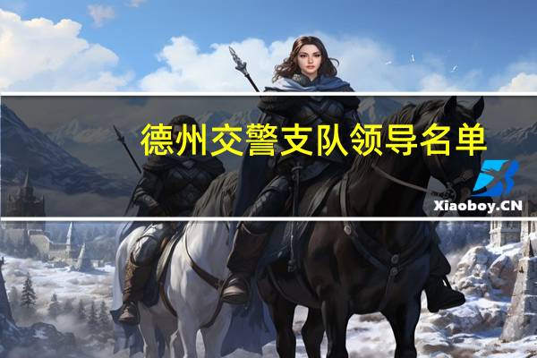 德州交警支队领导名单（德州市公安局交通警察支队简介）