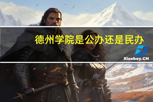 德州学院是公办还是民办