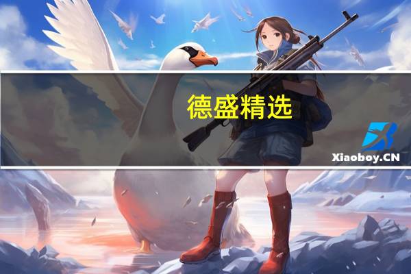 德盛精选（德盛安心成长混合型证券投资基金简介）