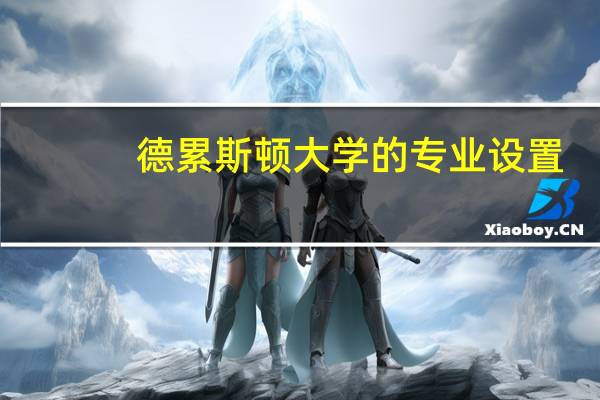 德累斯顿大学的专业设置