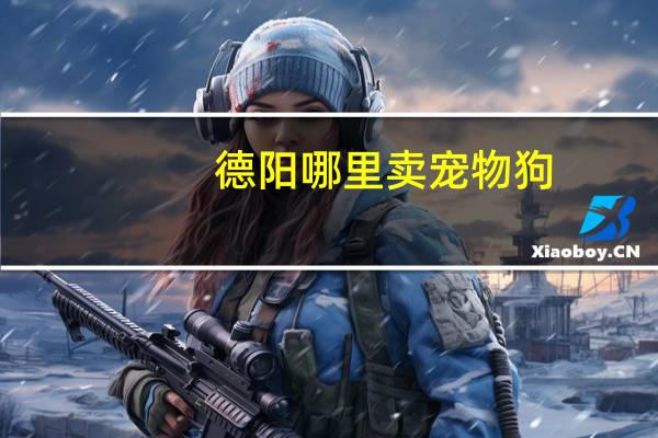 德阳哪里卖宠物狗