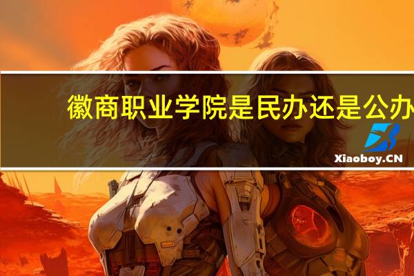 徽商职业学院是民办还是公办