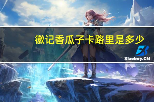 徽记 香瓜子卡路里是多少