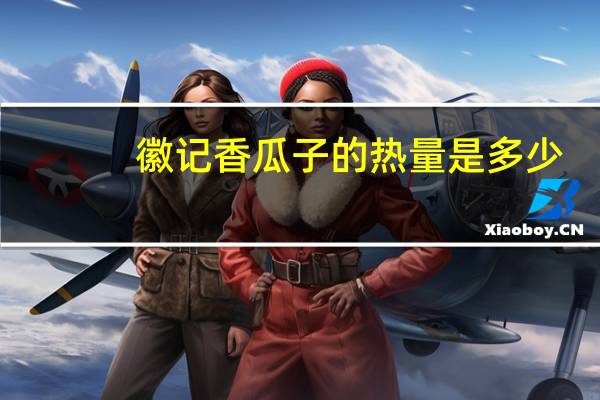 徽记 香瓜子的热量是多少