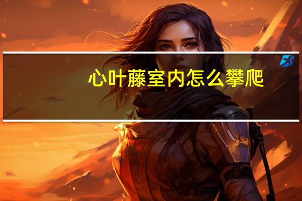 心叶藤室内怎么攀爬
