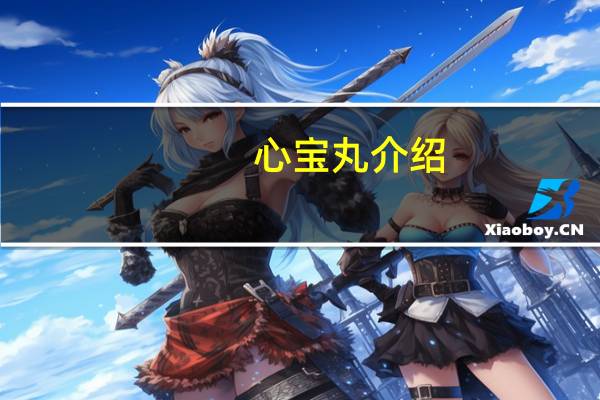 心宝丸介绍