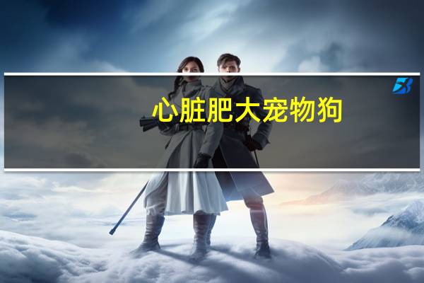 心脏肥大宠物狗