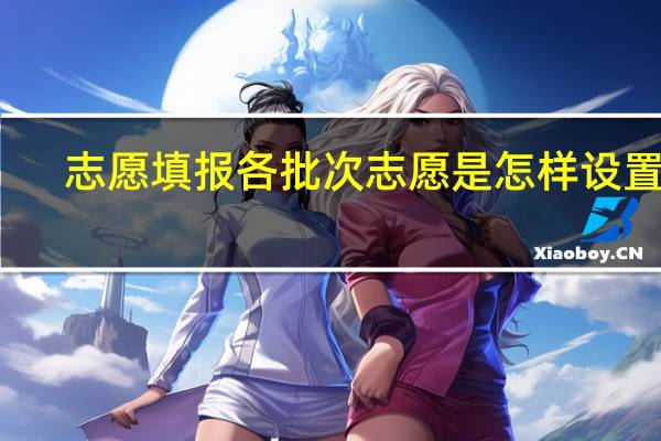 志愿填报各批次志愿是怎样设置的