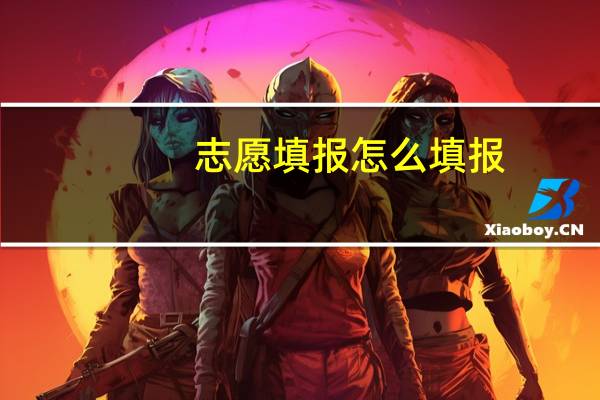 志愿填报怎么填报