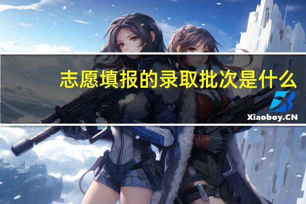 志愿填报的录取批次是什么
