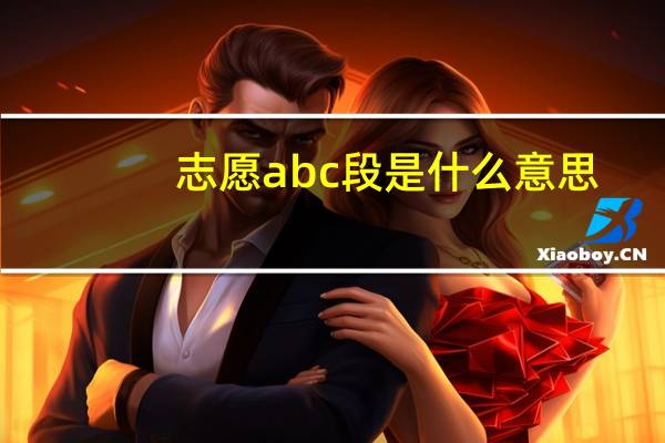 志愿abc段是什么意思