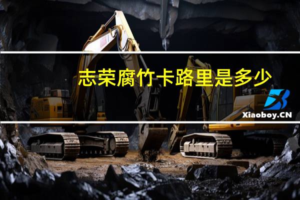 志荣腐竹卡路里是多少