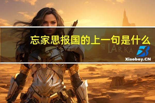 忘家思报国的上一句是什么