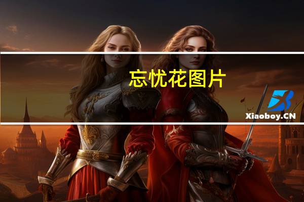 忘忧花图片（忘忧花）