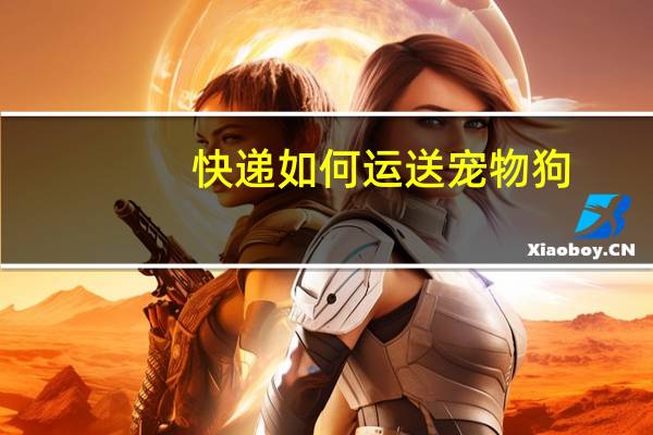 快递如何运送宠物狗