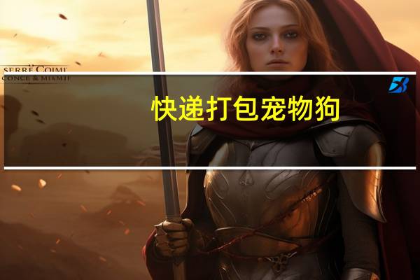 快递打包宠物狗