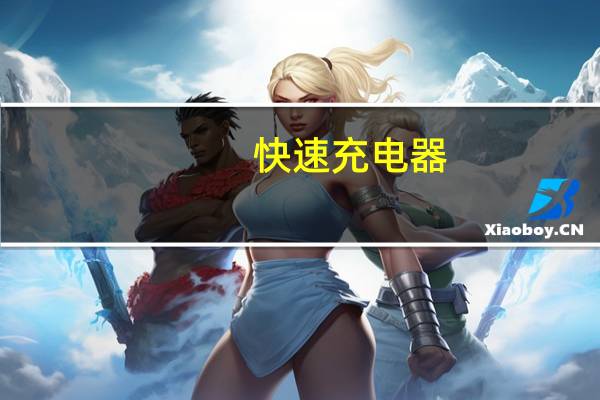 快速充电器（快速充电）