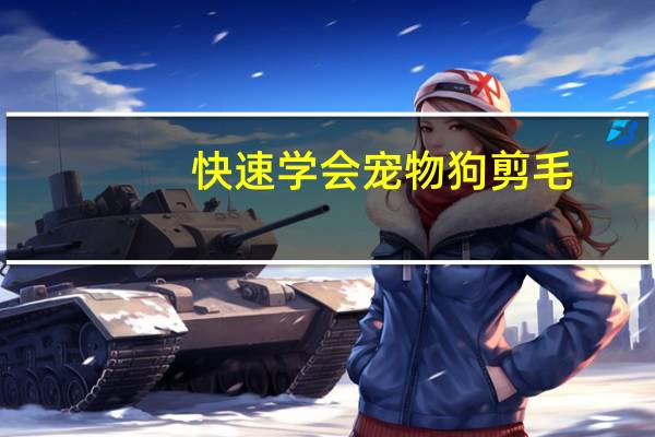 快速学会宠物狗剪毛