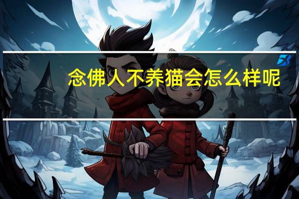 念佛人不养猫会怎么样呢